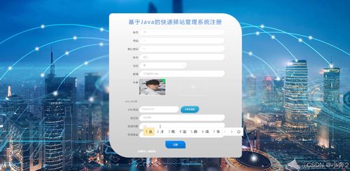 基于SpringBoot与Vue的快递驿站管理系统的设计与实现